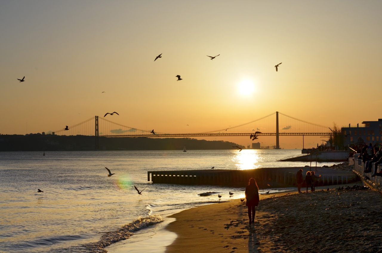 COTTER International | Portugal