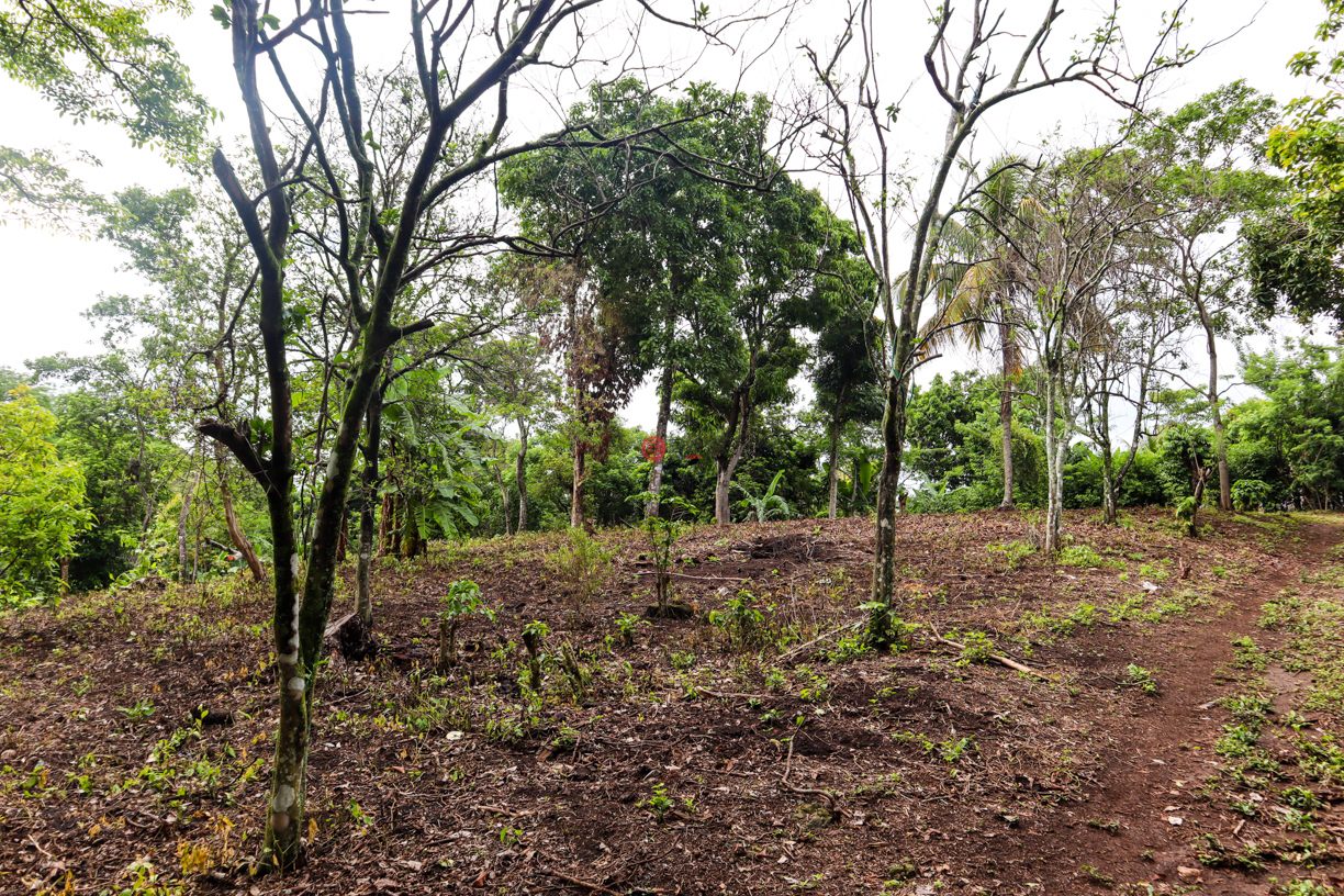 尼加拉瓜Masaya DepartmentMasaya的住宅用地，Finca de Frutas Niquinomo，编号71148301