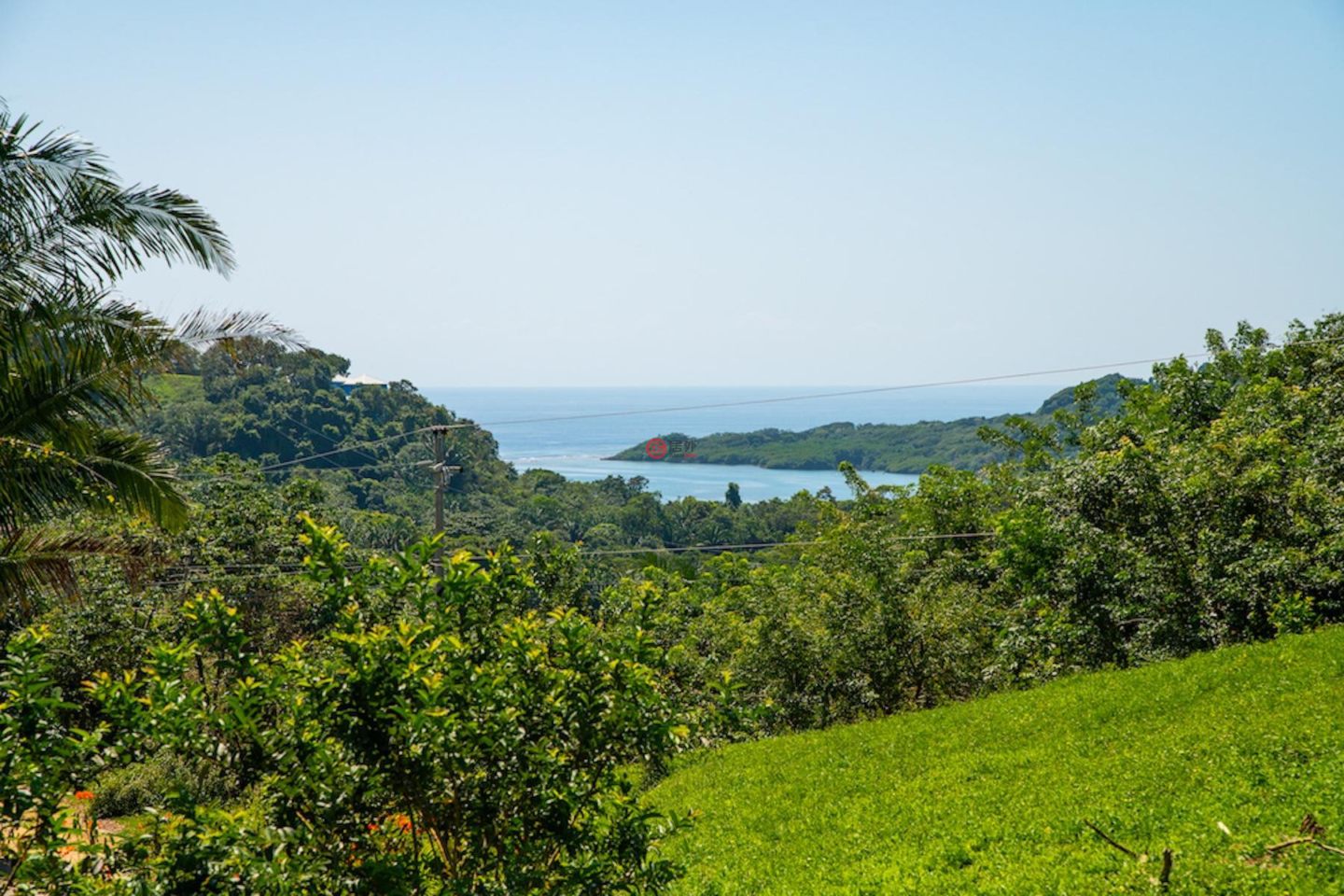 洪都拉斯海湾群岛Roatán的独栋别墅，Casita on 3 Acres Premier Land，编号76937988