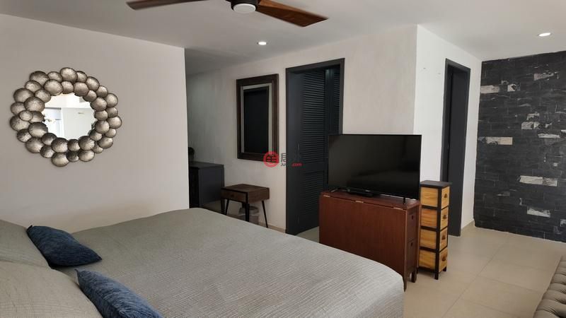 墨西哥金塔纳罗奥卡门海滩的公寓，10 Av. Sur，编号78524278