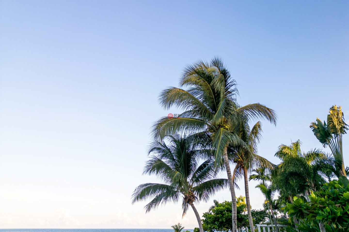 牙买加汉诺威Round Hill的住宅用地，Round Hill Hill Top，编号78061246