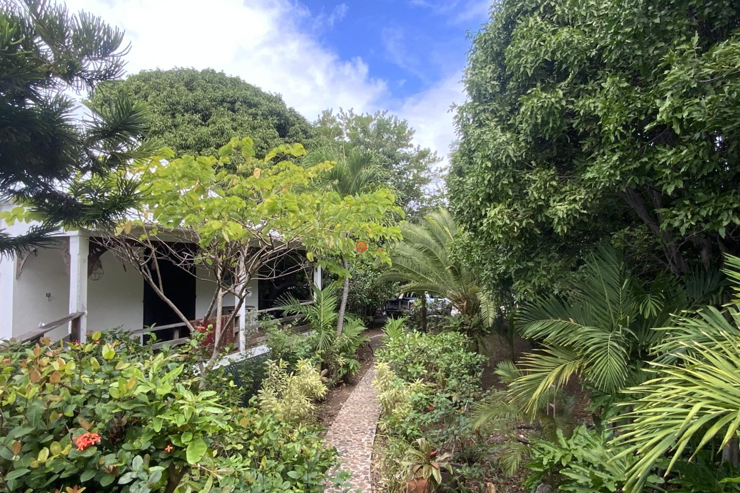 圣巴泰勒米岛的独栋别墅，Maison de Musique，编号76655193