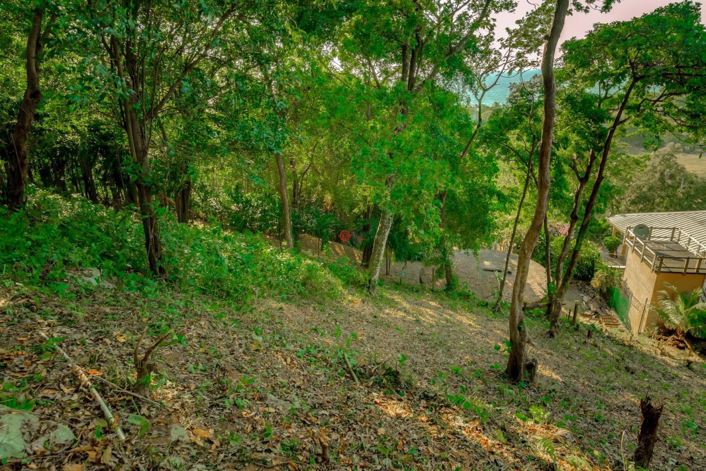 洪都拉斯海湾群岛Roatán的住宅用地，Beautiful West Bay Lot of 0.45 Acres with Ocean Views，编号77263658
