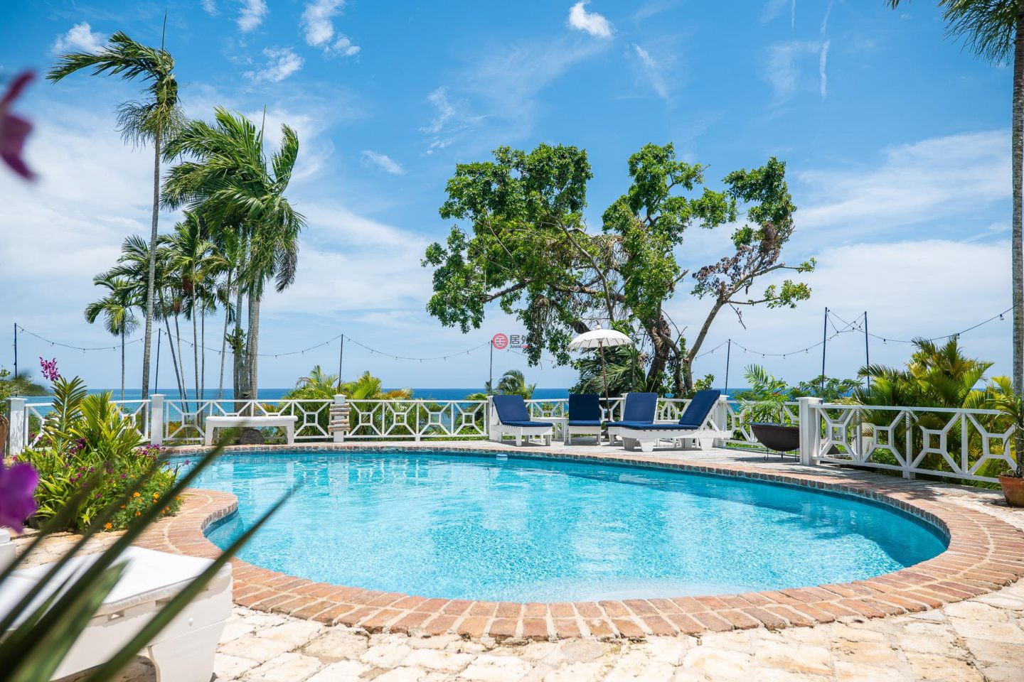 牙买加SurreyKingston的多单元，1 Pimento Hill Reading，编号77662980