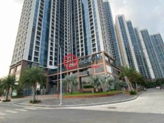 越南Hồ Chí Minh cityHo Chi Minh的公寓，Nguyễn Văn Linh Street，编号71353229