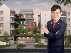新加坡东北地区新加坡的公寓，10 Evelyn，编号74219502