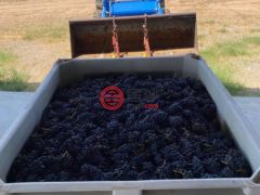 美国亚利桑那州威尔科克斯的酒庄，8401 S Bell Ranch Road，编号66729531