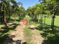 巴拿马科克莱El Chirú的商业用地，PANAMERICANA，编号71252964