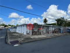 波多黎各Puerto RicoYabucoa的商业转让，None 2 INGENIO，编号76529257