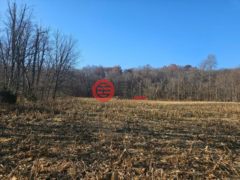 美国印地安那州Batesville的住宅用地，None E County Road 1575 N，编号77677777