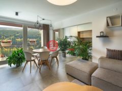 捷克Špindlerův Mlýn的公寓，Bedrichov 101，编号78162258