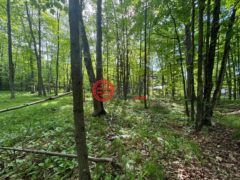 美国威斯康星州克兰登的住宅用地，None On ALLEN RD，编号77893990