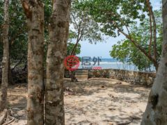 洪都拉斯海湾群岛Roatán的独栋别墅，Island House with Dock & Boats in Parrot Tree，编号77810415