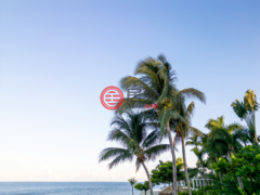 牙买加汉诺威Round Hill的住宅用地，Round Hill Hill Top，编号78061246