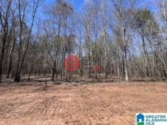 美国阿拉巴马州罗阿诺克的住宅用地，63 Ac. COUNTY ROAD 684，编号77510922