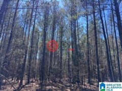 美国阿拉巴马州罗阿诺克的住宅用地，63 Ac. COUNTY ROAD 684，编号77510922