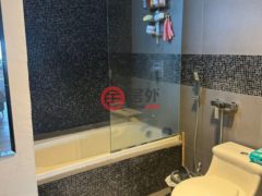 巴拿马巴拿马城巴拿马城的公寓，编号77770169