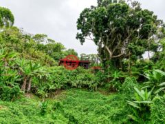 波多黎各Puerto RicoAguas Buenas的独栋别墅，Carr. 797 KM 5.1 Jaguayes 1A，编号75471693