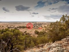 美国新墨西哥州Rowe的农业用地，Mile Marker 13 Nm Hwy 34，编号76986136