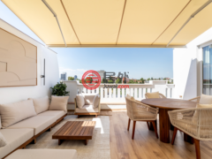 西班牙马德里马德里的公寓，Castellana，编号77885063