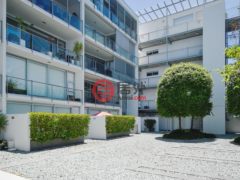 新西兰AucklandAuckland的公寓，编号29446768