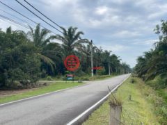 马来西亚柔佛峇株巴辖的农业用地，Parit Sagil，编号78248731