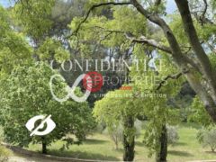 居外网在售法国13卧的独栋别墅总占地11643平方米约人民币67,942,740