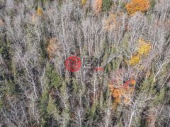美国威斯康星州菲尔普斯的住宅用地，None Off HAWK SOUP LN，编号77773574