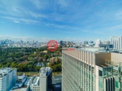 日本TokyoMinato的公寓，编号78163601