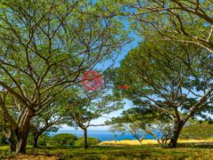 美国夏威夷Kealakekua的住宅用地，81-7920 ALII DR，编号78162425