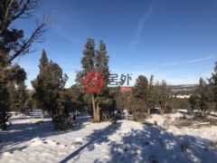 美国俄勒冈州Prineville的公寓，14341 SE Winchester Loop，编号62403594