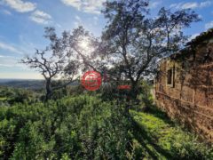 葡萄牙Santiago do Cacém的农业用地，编号78519640