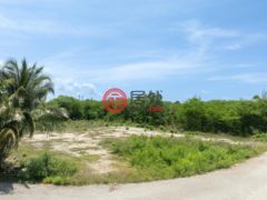 开曼群岛Savannah的住宅用地，Lavender Way，编号78191404