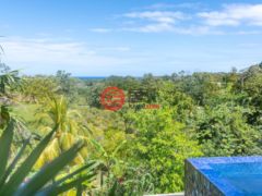 洪都拉斯海湾群岛Roatán的独栋别墅，Charming Garden Hillside 2B/1.5B Home，编号76854666
