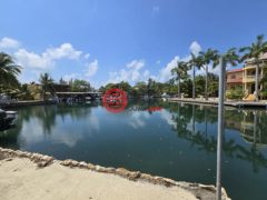 伯利兹斯坦克里克Placencia的住宅用地，Bile Up St，编号77262787