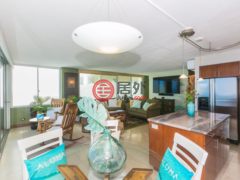 美国夏威夷檀香山的公寓，编号67596646