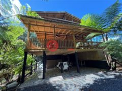 波多黎各Puerto RicoLares的独栋别墅，SOLAR 3 Sr 436 Km 1.1 BARRIO ESPINO SECTOR LOS MEDINA，编号77507695