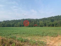 美国印地安那州French Lick的住宅用地，S State Road 145 Highway，编号67892688