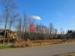美国马里兰州Mc Henry的住宅用地，None LOT 46 HIGHLINE DRIVE，编号77678977