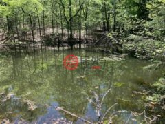 美国俄克拉何马州傑里的独栋别墅，None 55600 E 319 Trail，编号77770019