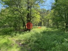 美国俄克拉何马州傑里的独栋别墅，None 55600 E 319 Trail，编号77770019