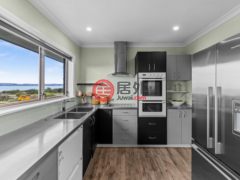 新西兰纳皮尔的独栋别墅，49 Ferguson Street Bay View，编号78244967