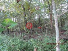 美国俄克拉何马州Red Oak的公寓，0101 Norris Rd，编号60651173