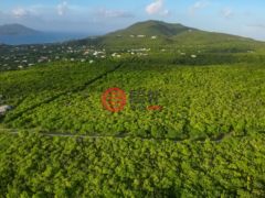 圣克里斯托弗和尼维斯岛NevisSt. Thomas Lowland的住宅用地，Cotton Heights Sunset Ridge Road，编号71695948