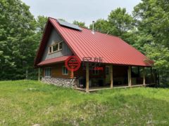 美国密歇根州Michigamme的独栋别墅，23505 Craig Lake，编号78162506