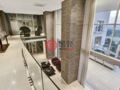 南非豪登省Sandton的独栋别墅，16 Benmore Road，编号43306148