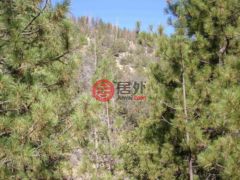 美国加州琼斯堡的住宅用地，None xx Cottonwood Ck Rd，编号75833150