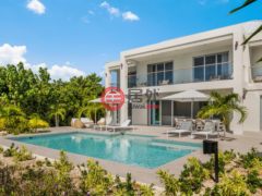 特克斯與凱科斯群島的独栋别墅，Villa Enandi - Canalfront Pinta Lane，编号78492973