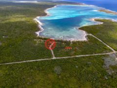 巴哈马的住宅用地，360 Acres in Little Harbour，编号77683856