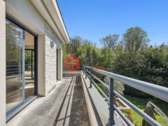 法国法兰西岛Verrières-le-Buisson的独栋别墅，编号77423776